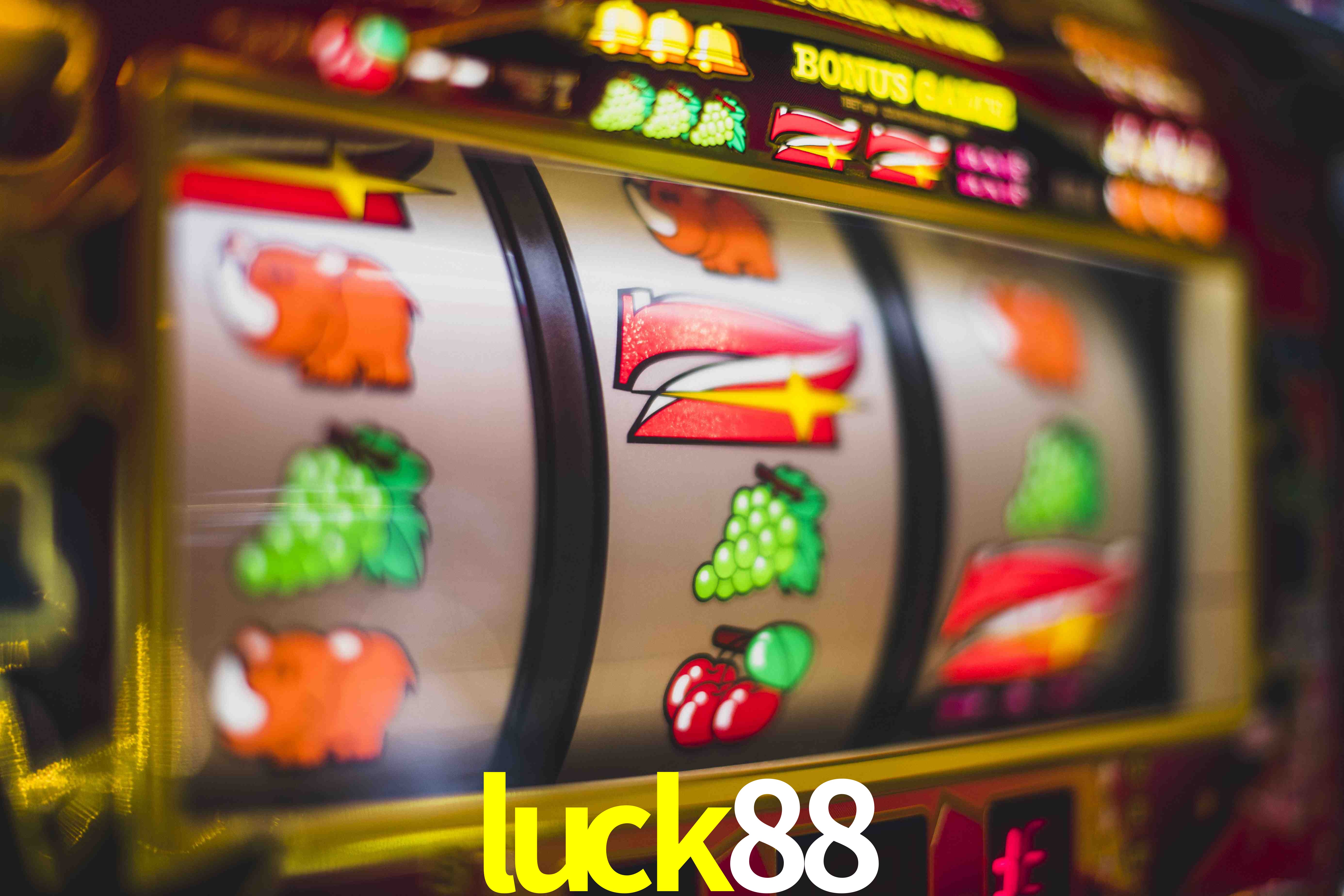 Live Casino luck88